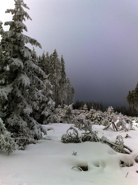 Heidehotel Hildfeld Winterberg Zewnętrze zdjęcie