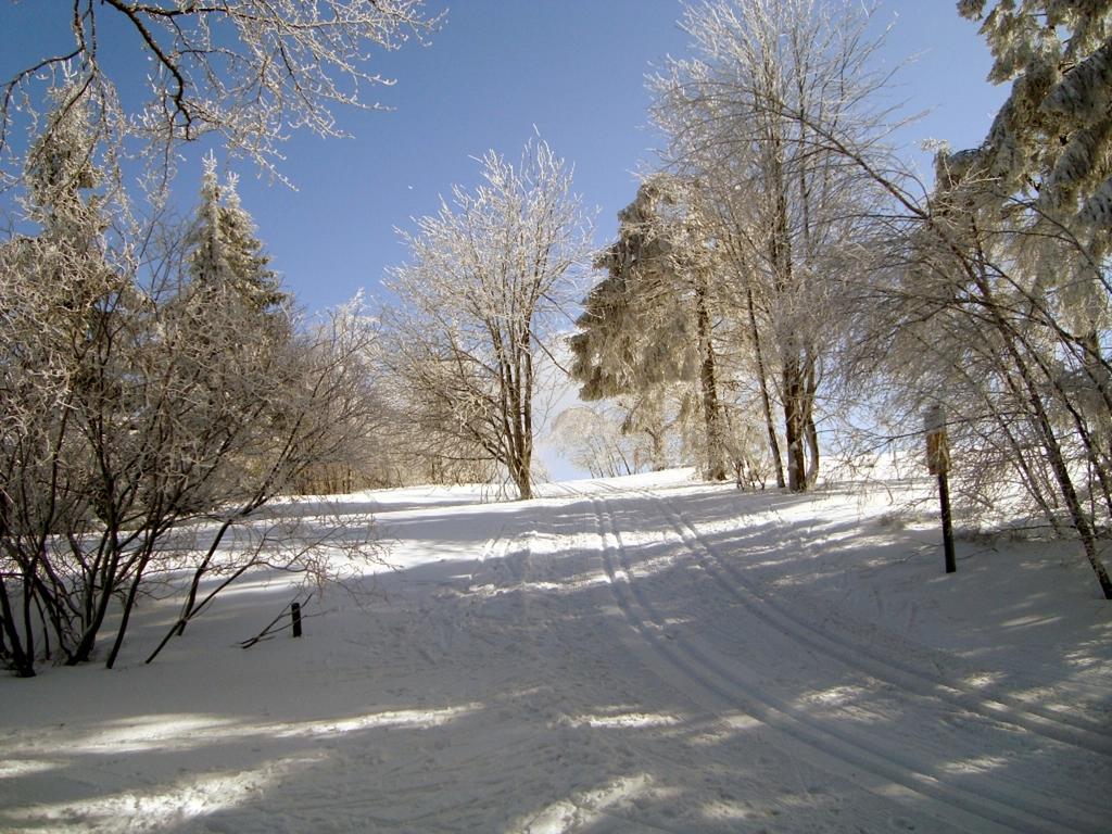 Heidehotel Hildfeld Winterberg Zewnętrze zdjęcie
