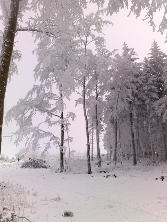Heidehotel Hildfeld Winterberg Zewnętrze zdjęcie