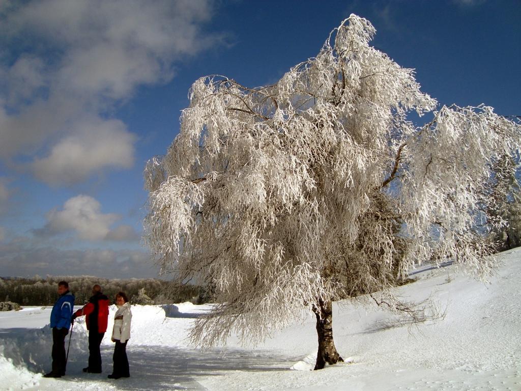 Heidehotel Hildfeld Winterberg Zewnętrze zdjęcie
